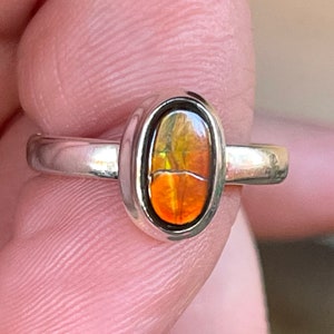 Ammolite, Ring, Size 7, In Sterling Silver