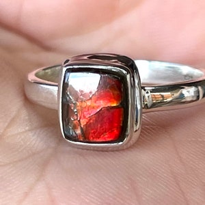 Ammolite, Ring, Size 9, In Sterling Silver