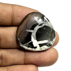 Black Septarian Gemstone Cabochon: 42.00 Cts Fancy Jewelry Stone