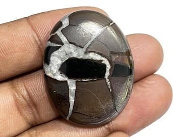 May include: Oval-shaped gemstone with a unique pattern. The stone features a mix of dark brown, black, gray, and white colors. The design includes a network of lines and shapes, creating a mosaic-like appearance. The gemstone is held in a hand.