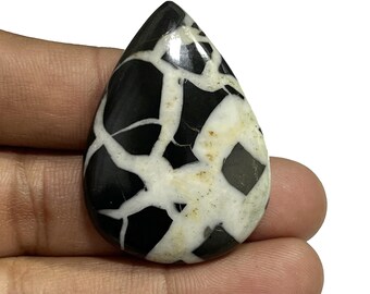 May include: A black and white cabochon gemstone with a unique, intricate pattern. The stone has a smooth, polished surface and is shaped like a teardrop.