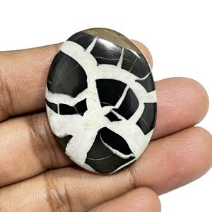 Black Septarian Gemstone Cabochon: 66.80 Cts Oval Crystal for Jewelry