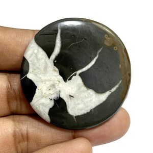 Black Septarian Gemstone Cabochon: 87.80 Cts Round Crystal for Jewelry