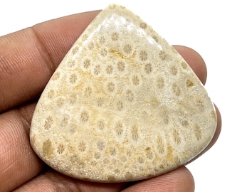Natural Fossil Coral Gemstone Cabochon: Pear Shape, 68.70 Cts