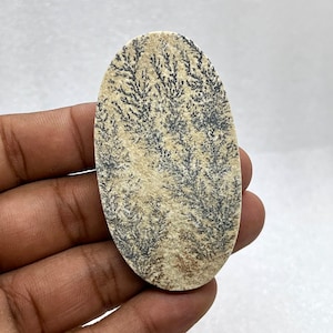 Può includere: Una grande pietra ovale, lucidata, con un motivo dendritico. La pietra è di colore beige chiaro con dendriti grigio scuro.