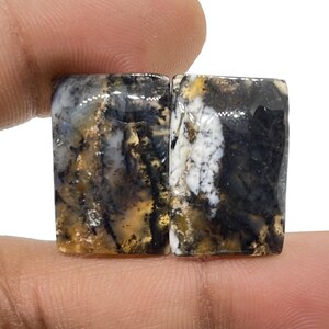 May include: Two rectangular pieces of polished agate with a black, white, and brown dendritic pattern.