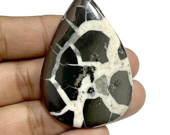 May include: A teardrop-shaped cabochon of black and white dendritic agate with a polished surface. The stone has a unique pattern of white dendrites on a black background.