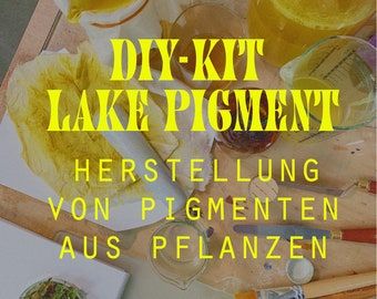 DIY-Kit zur Herstellung von Pigmenten aus Pflanzen/ Kit for the production of lake pigment