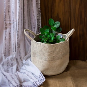 May include: A white and grey striped rope basket with a green plant inside. The basket is sitting on a brown surface next to a white curtain with a grey pattern.