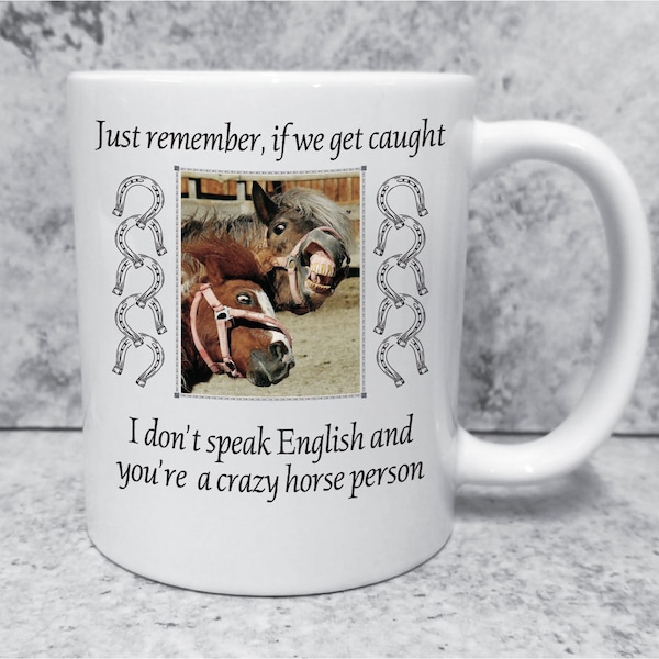 You're a Crazy Horse Person Mug- Sarcastic sayings, gifts mugs, horses, gag gifts, funny, joke, if we get caught, best friends,