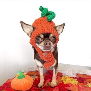 Chihuahua Pumpkin Hat Ear Holes Dog Halloween Costume Crochet xxs Autumn fall