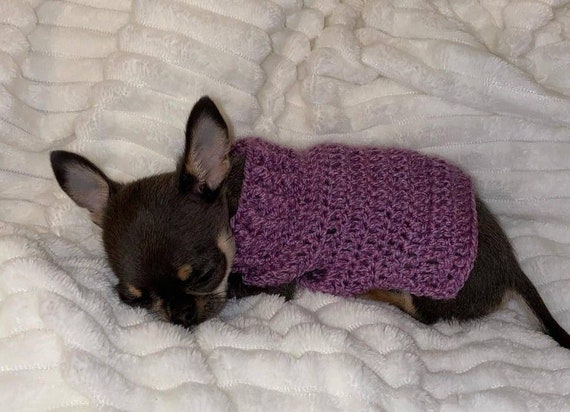 Patron pull chihuahua sales