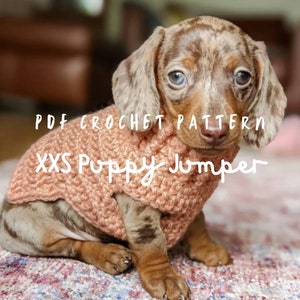 PDF CROCHET PATTERN Chihuahua xxs Sweater Small Dog kitten tiny jumper