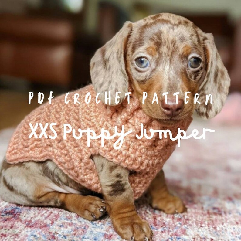 PDF CROCHET PATTERN Chihuahua Xxs Sweater Small Dog Kitten Etsy