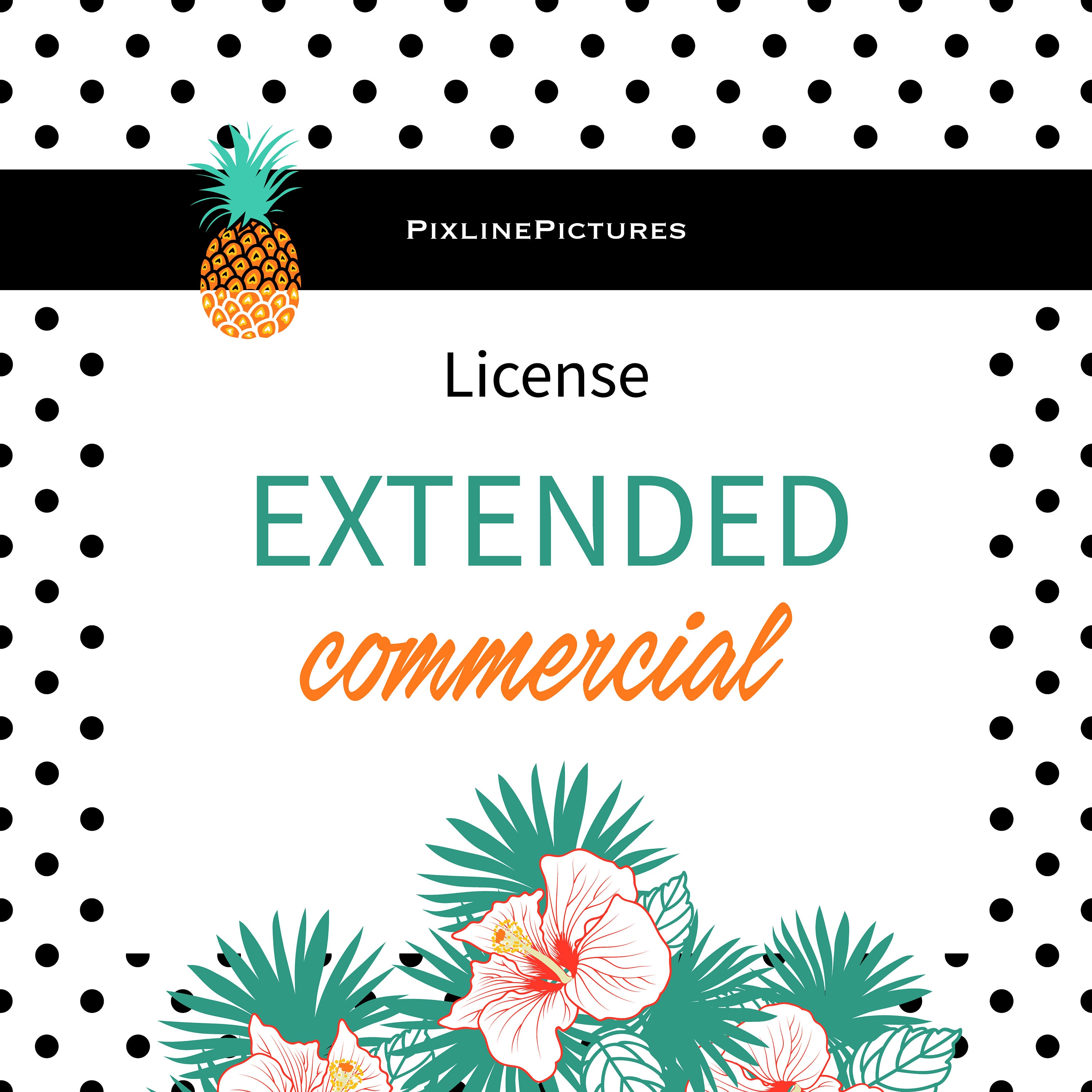 Licence étendue licence commerciale pour les affaires personnelles, contrat travail, Client 1 projet illimité vente JPEG, PDF Licence étendue licence commerciale pour travail, les affaires personnelles, contrat travail, pour Client 1 projet illimité vente JPEG, PDF 3fce11