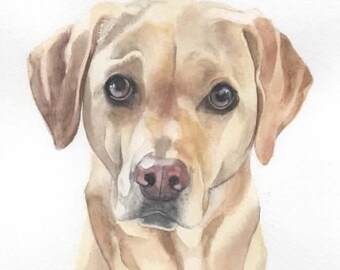 Aquarell Pet Portraits - Hund Porträts, Katze Porträts, Pferd Porträts - handbemalt von Fotos von UK Künstler.