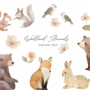 Bosdieren aquarel clipartset - beer, vos, konijn, eekhoorn, vogels en lentebloemen - schattige bosdieren voor decor en knutselen
