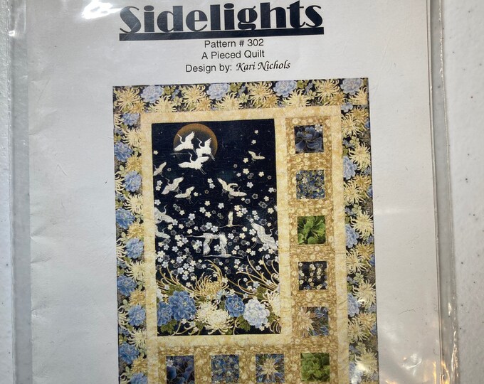 Sidelights Pattern 302 A Pieced Quilt by Kari Nichols Etsy
