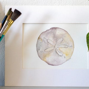 Sand Dollar Original