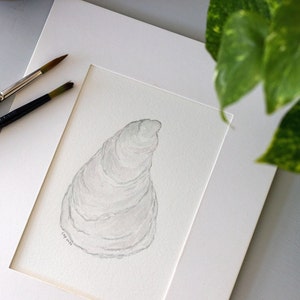 Sun Bleached Oyster Shell Original