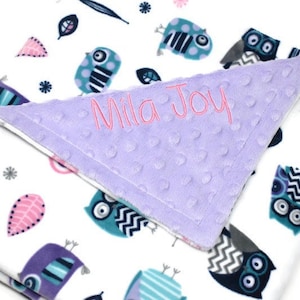 Embroidered Owl Baby Blanket: Personalized Minky Dot Blanket