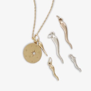 Colgante de cuerno de plata esterlina bañado en oro, pequeño colgante de cuerno de Cornicello, collar, pendientes de cuerno italiano, pequeñas joyas minimalistas ADISA