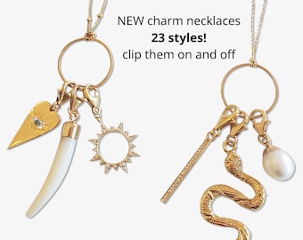 May include: Two gold chain necklaces with charms. The charms include a heart with an eye, a bone, a sun, a snake, a stick, and a pearl. The text on the image reads "NEW charm necklaces 23 styles! clip them on and off"