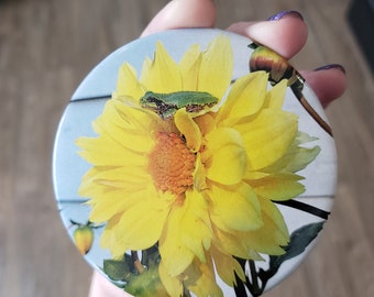 Imán fotográfico de rana sobre dalia