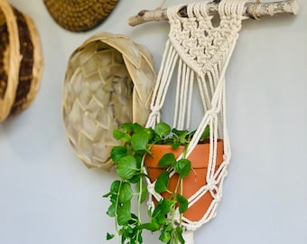May include: A white macrame plant hanger with a wooden branch at the top, holding a terracotta pot with a green plant trailing down.