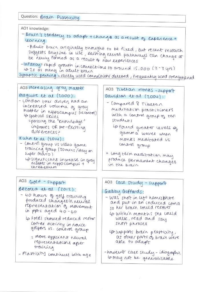AQA A Level Psych Paper 2 Essay Plans - Etsy UK
