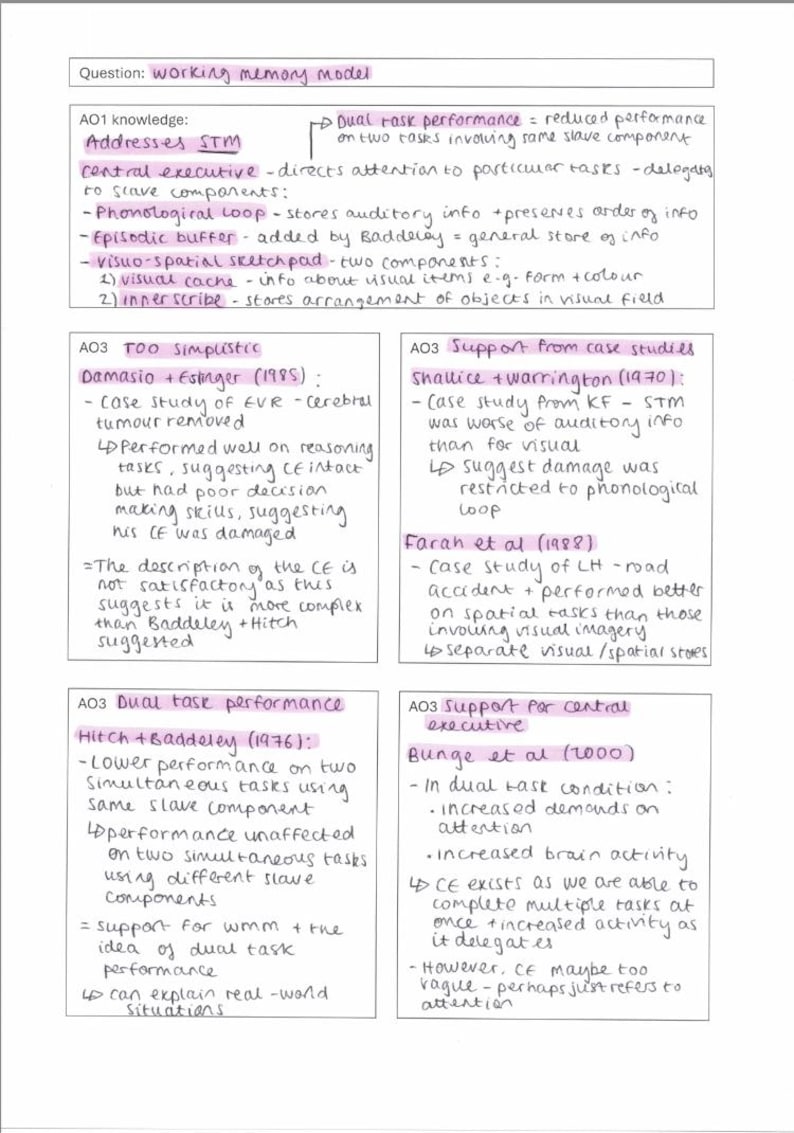 AQA A Level Psychology Paper 1 Complete Essay Plans - Etsy UK