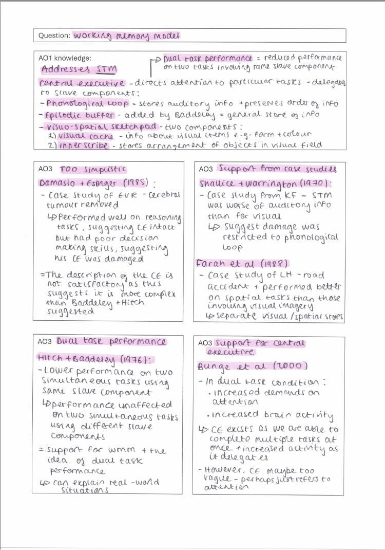 AQA A Level Psychology Paper 1 Complete Essay Plans - Etsy UK