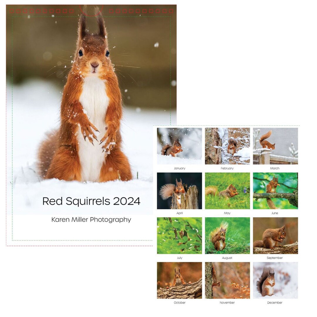 Red Squirrels Calendar 2024 Etsy