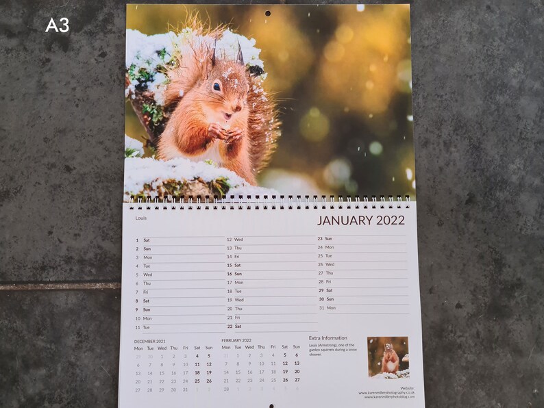 Red Squirrel Calendar 2022/squirrel calendar/wildlife | Etsy