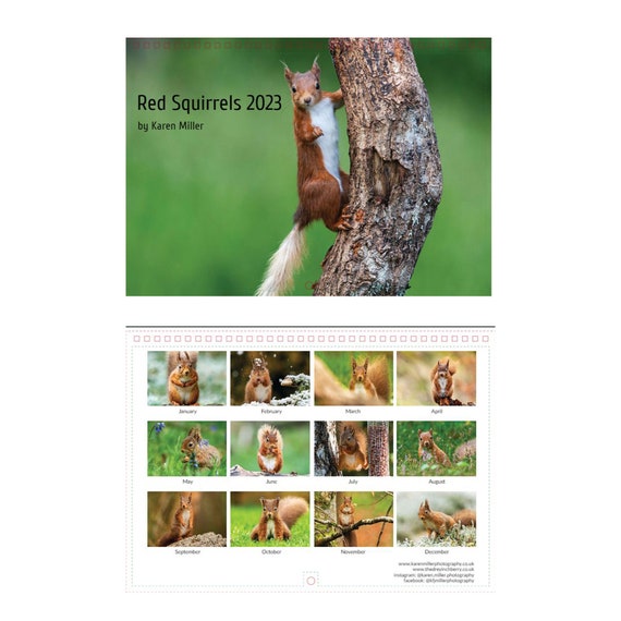 Red Squirrel Calendar 2023/squirrel Calendar/wildlife Etsy