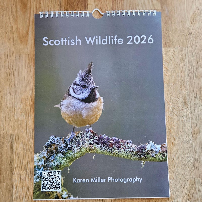 scotland-2026-calendar-etsy-uk
