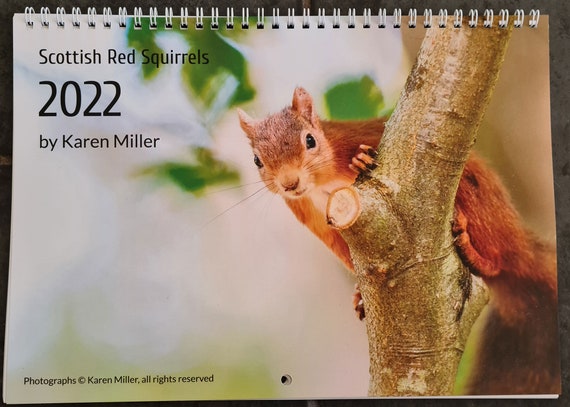 2022 Squirrel Calendar Red Squirrel Calendar 2022/Squirrel Calendar/Wildlife | Etsy Singapore