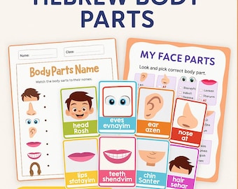 Hebrew Body Parts Learning Bundle for Kids | Flashcards + Worksheets | Learn Hebrew for Toddlers & Preschool | Printable Activity Set