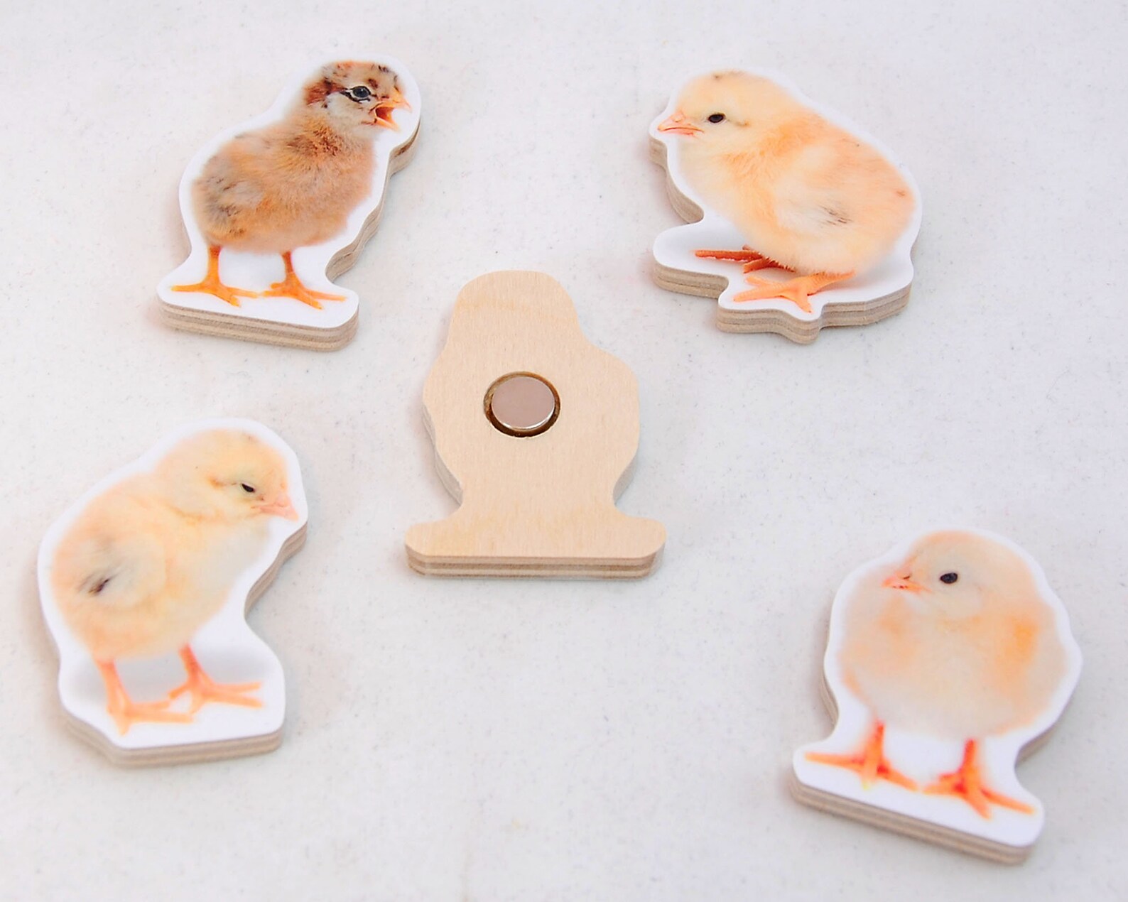 Chick 5 Set. Handcut Wooden Fridge Etsy