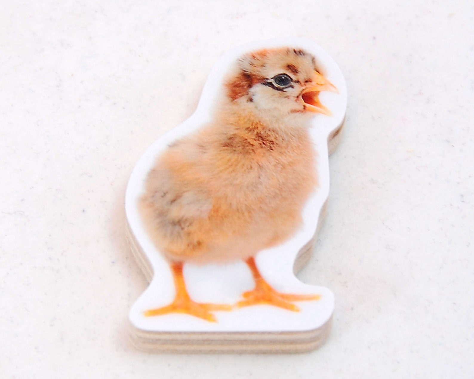 Chick 5 Set. Handcut Wooden Fridge Etsy