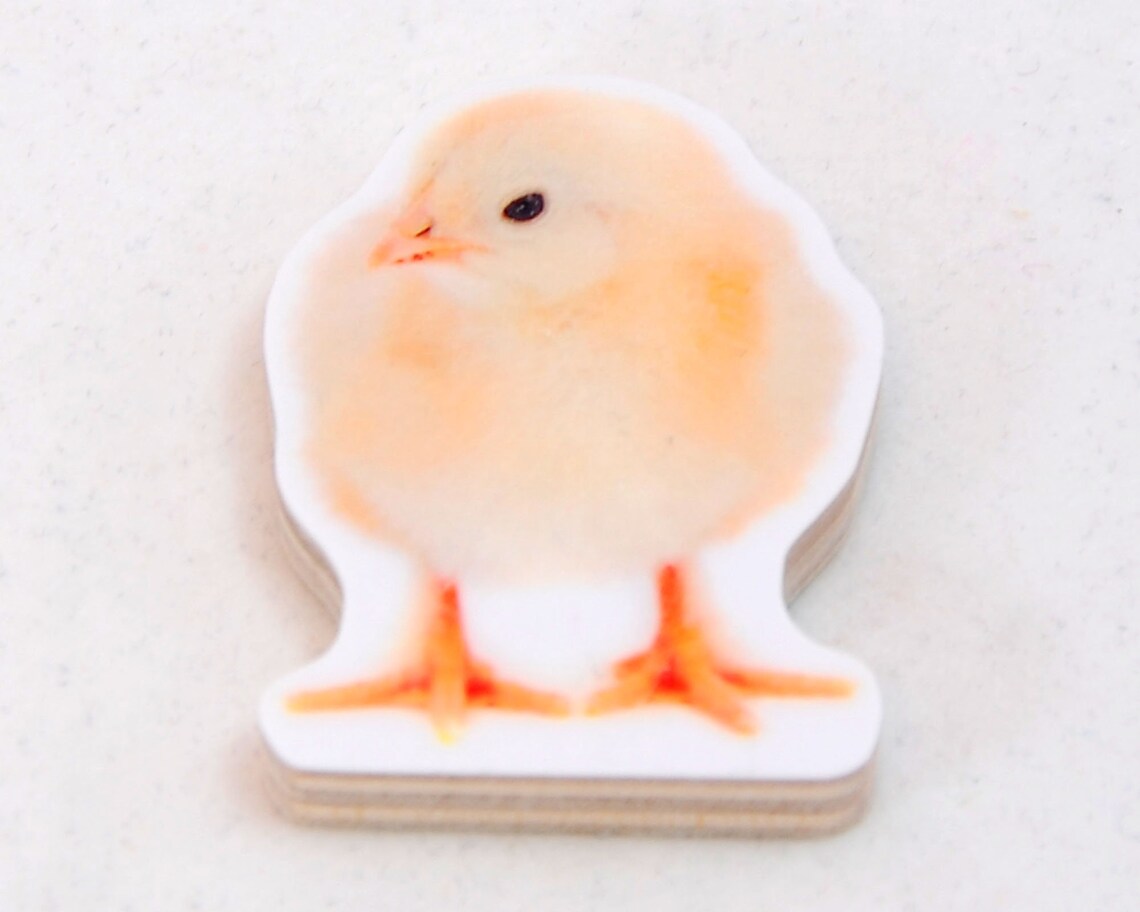 Chick 5 Set. Handcut Wooden Fridge Etsy