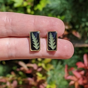 May include: A pair of rectangular stud earrings. Each earring features a small, green fern encased in black resin, set within a gold-colored frame. The earrings are held against a blurred background of green and red foliage.