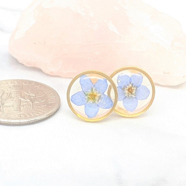 Pressed Flower Earrings, Forget me not Studs, Botanical Earrings, Pressed Flower Jewelry, Real Dried Blue Flower Studs, Hypoallergenic