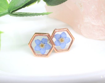 Boucles d'oreilles de fleurs pressées, or rose, goujons de myosotis bleus, véritables poteaux de fleurs séchées, bijoux de fleurs pressées, bijoux botaniques Forgetmenot