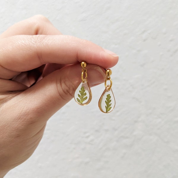 Petites boucles d’oreilles pendantes de fougère, petits clous de feuilles en forme de larme, cadeau d’amoureux de la nature, bijoux de plantes réelles en résine, boucles d’oreilles en fleurs pressées, délicates, faites à la main