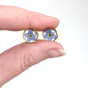 May include: A pair of gold hexagonal stud earrings with a single blue forget-me-not flower pressed inside each earring.