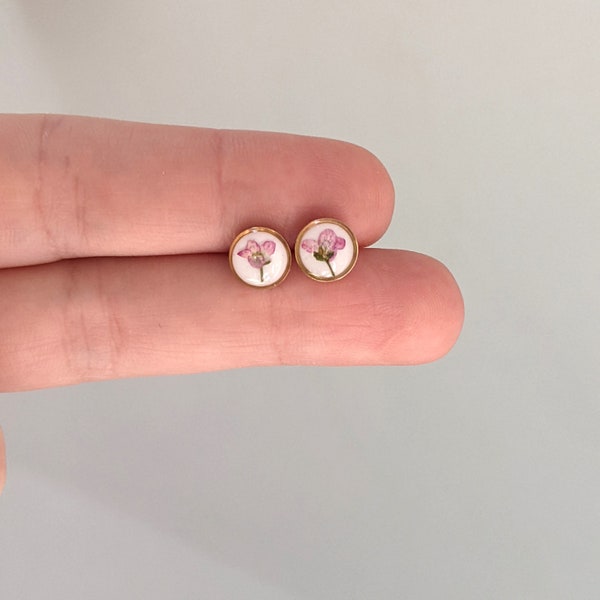 Petites boucles d'oreilles fleurs pressées, clous d'oreilles fleurs sèches rose clair, titane hypoallergénique, bijoux botaniques de fleurs sauvages, minimaliste, petit fait main