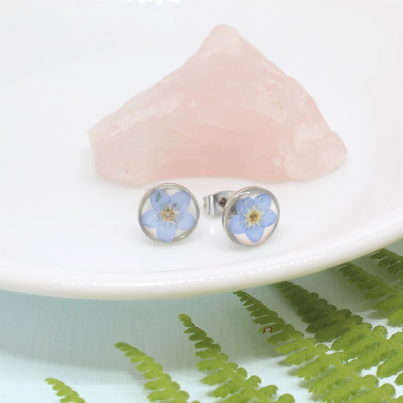 May include: A pair of silver stud earrings with a blue forget-me-not flower pressed inside each earring.