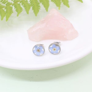 Pressed Flower Earrings, Blue Forget-me-not Studs, Silver Circle Earring, Hypoallergenic titanium Jewelry, Real DriyFlowers Resin Plant Stud