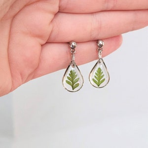 Tiny fern dangle earrings, small teardrop leaf studs, nature lover gift, resin real plant jewelry, pressed flower earrings, dainty, handmade image 3